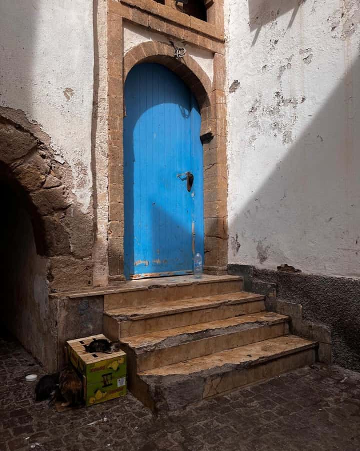 Marrakech: Essaouira Day Trip with Transfers and Co-op Visit - Essaouira on your own: medina lanes, shops, and beach time