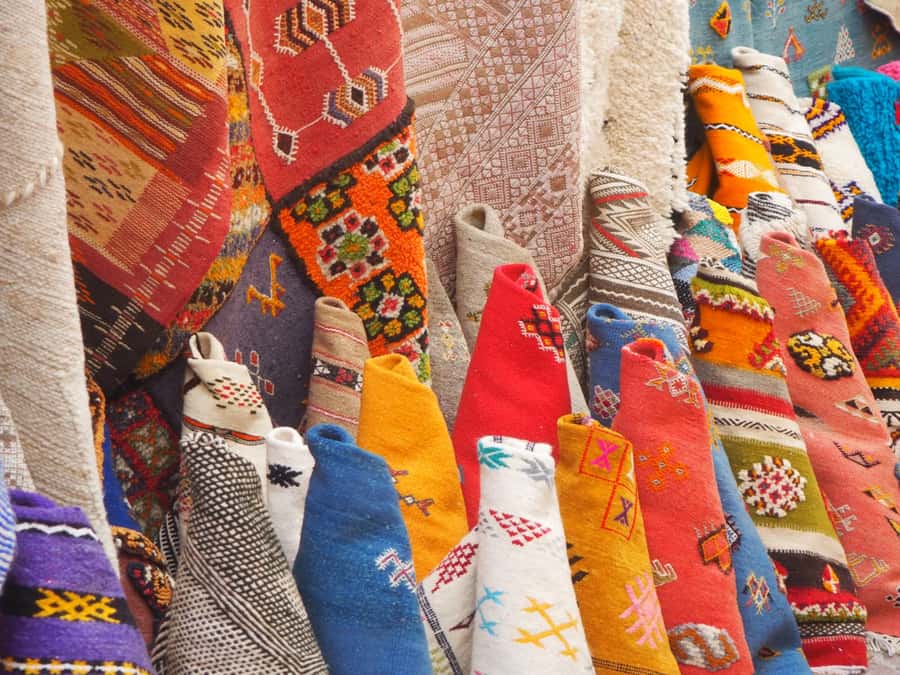 Marrakech: Essaouira Day Trip with Transfers and Co-op Visit - Goat stop and argan trees: photos, timing, and expectations