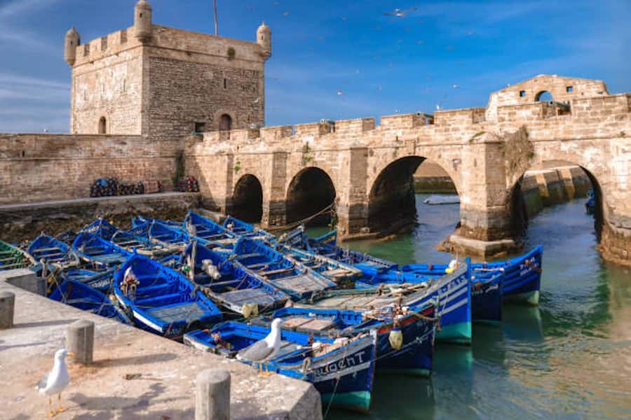 Marrakech: Essaouira Full-Day Trip - Key Points You’ll Care About