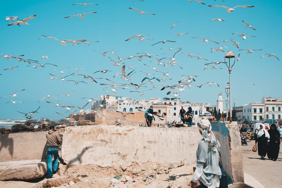 Marrakech: Essaouira Full-Day Trip - The Jeweler’s Quarter and Local Markets: Shop Time Without the Stress