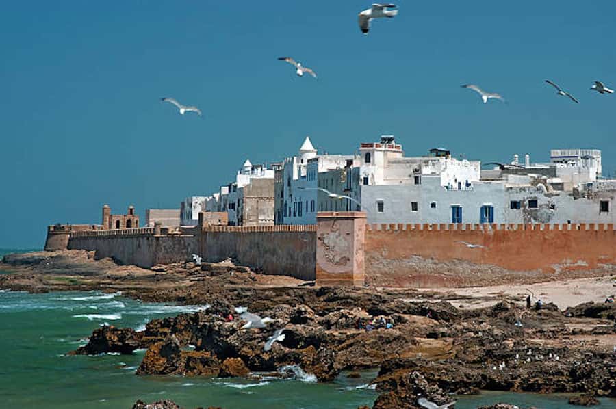 Marrakech: Essaouira Full-Day Trip - Fresh Fish Lunch: What’s Included and How to Make It Work