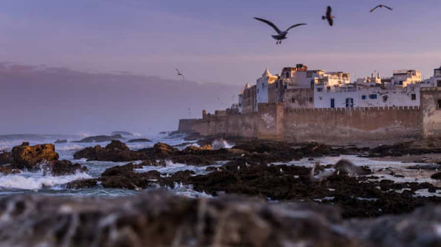 Marrakech: Essaouira Full-Day Trip - Hotel Pickup and the Road Breaks: Comfort, Stops, and Timing