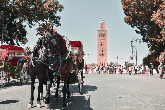 Marrakech Excursion Mini Group Camel Ride from Casablanca - Medina walking + Souk Semmarine: how to navigate without getting drained