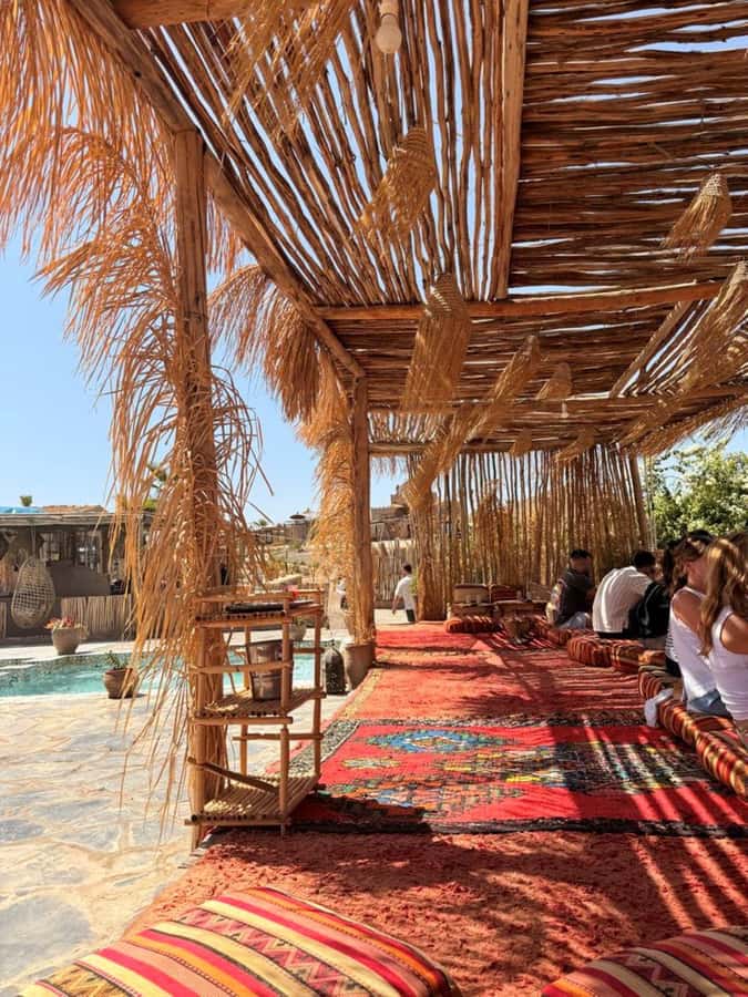 Marrakech: Full-Day Camel Ride, Quad Bike, & Spa Tour - 45-Minute Argan Oil Massage: The Payoff After You’ve Gotten Dirty