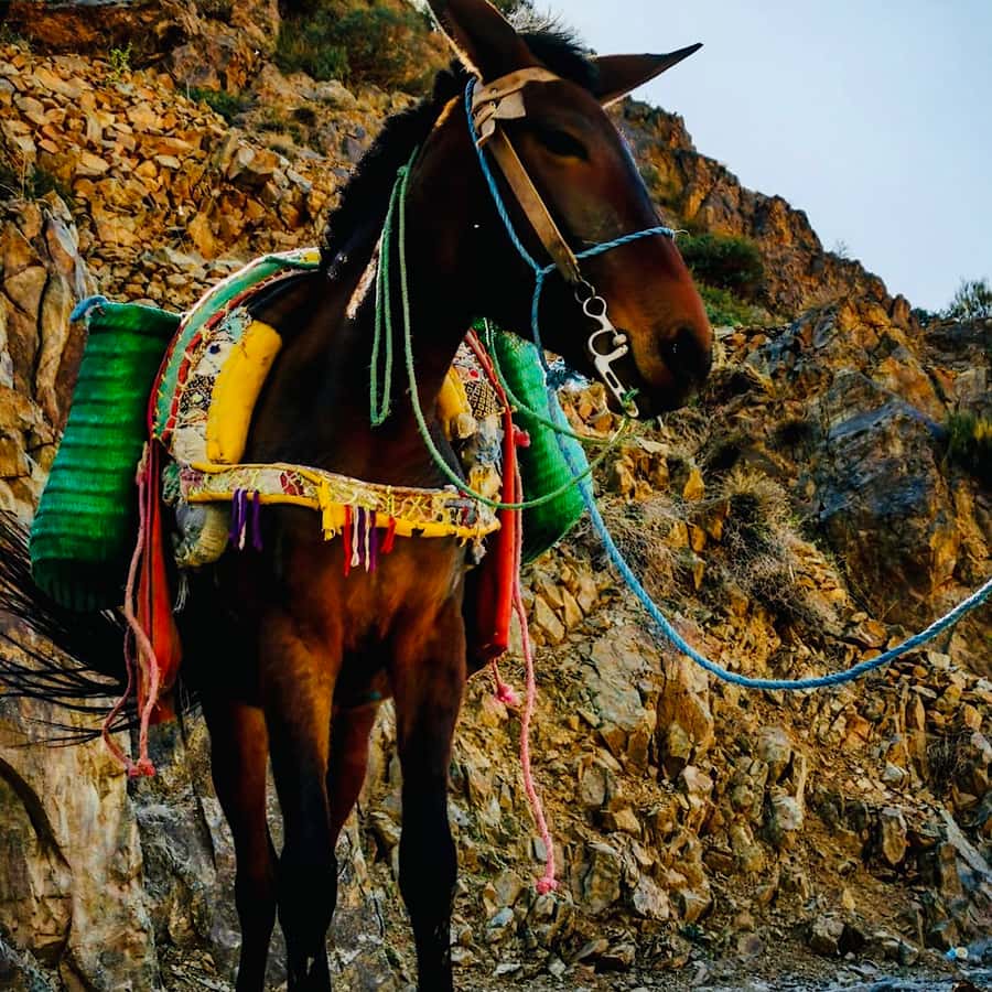Marrakech: Guided 2-Day Trek to Imlil and Imnan Valleys - Guides, Pacing, and Altitude: Why a Small Group Matters