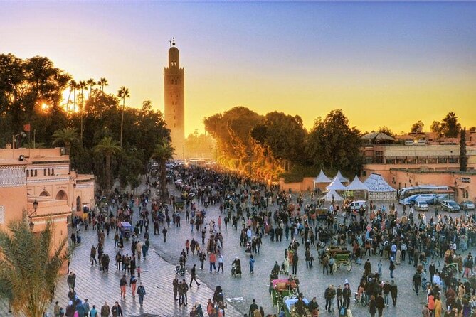 Marrakech: Guided City & Gardens Highlights Tour - Price and Value: What $57.72 Buys You (and What It Doesn’t)
