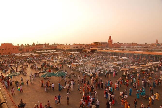 Marrakech Guided Day Trip with Pickup From Taghazout or Agadir - Souks and Shopping Time: How to Enjoy It Without Wasting Your Hours