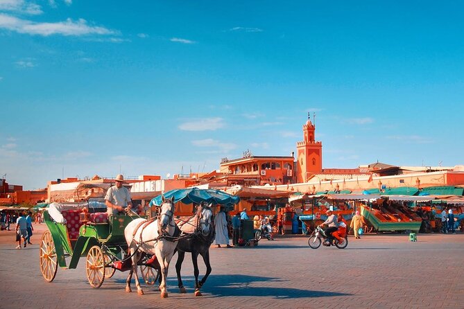 Marrakech Guided Day Trip with Pickup From Taghazout or Agadir - Comfort and Group Dynamics: The Good, the Real, the Fixes