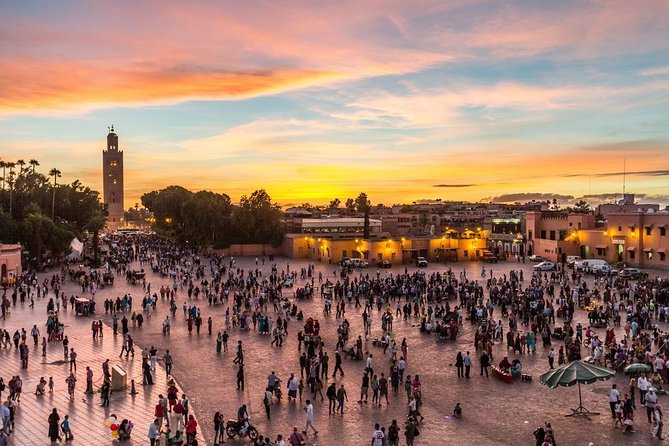Marrakech Guided Historical and Cultural Visit - Menara Gardens, palace ramps, and the souk web around town