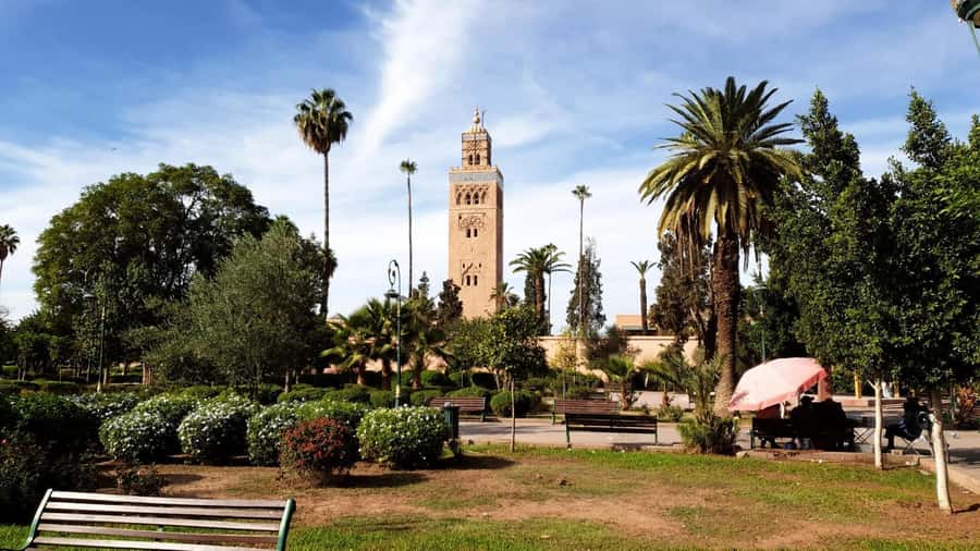 Marrakech: Guided Medina History & Culture Tour - Price and Value: Is $65 Worth It?