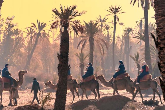 Marrakech Guided Tour From Casablanca With Camel Ride - Koutoubia Mosque: the minaret view you can’t miss