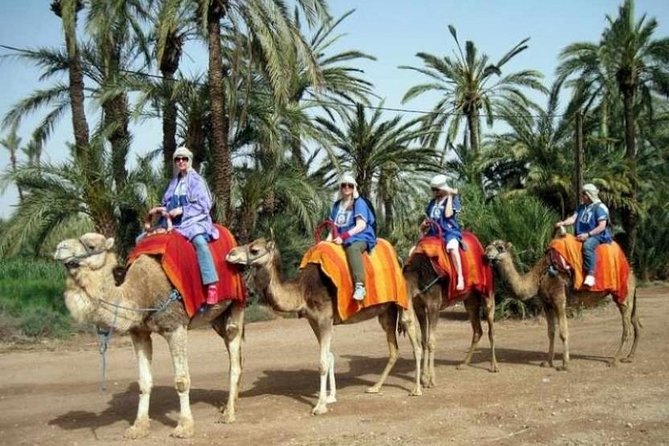 Marrakech: Half-Day Camel Ride in Palm Grove - Getting there from your riad: van time and what it means for comfort