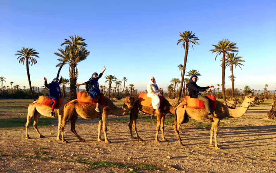 Marrakech: Half-day Dunes Trip With Buggy and Camel Ride - Key highlights at a glance