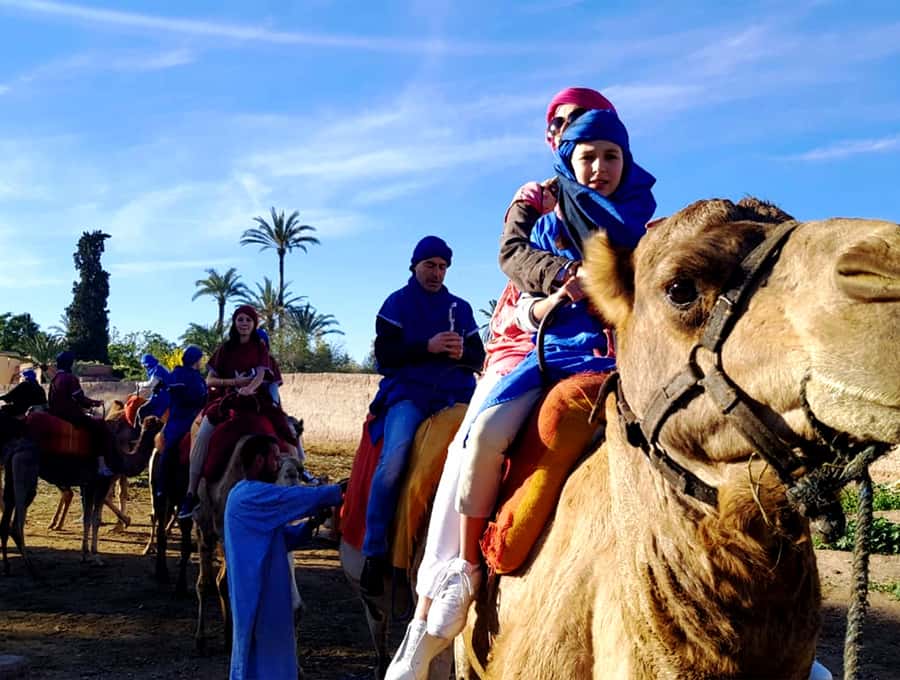 Marrakech: Half-day Dunes Trip With Buggy and Camel Ride - How this Marrakech dunes half-day really works