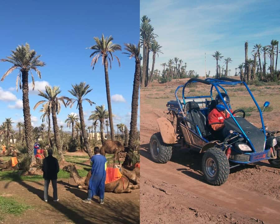 Marrakech: Half-day Dunes Trip With Buggy and Camel Ride - The safety talk and your dune buggy ride (1h45)
