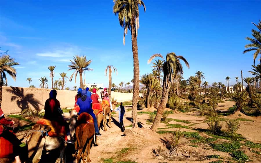 Marrakech: Half-day Dunes Trip With Buggy and Camel Ride - Price reality check: is $87 worth it?