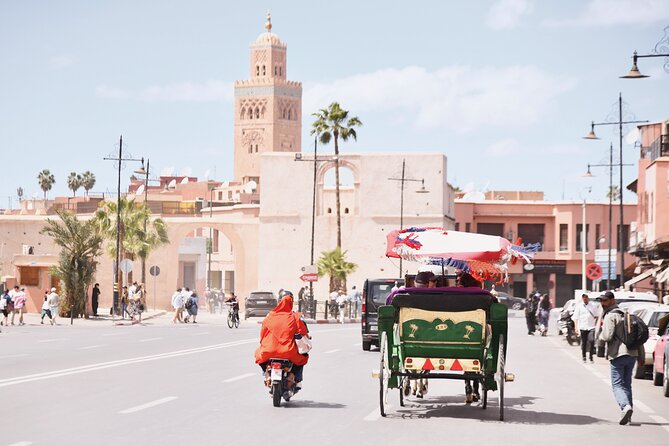 Marrakech half day guided city tour - A Four-Hour Marrakech Route That Gets You Oriented Fast