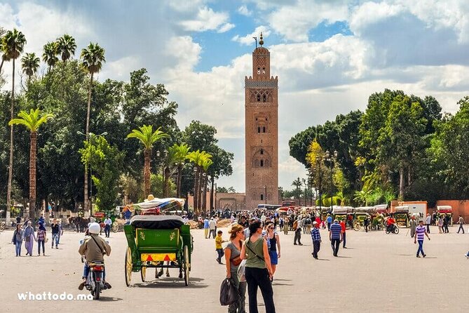 Marrakech: Half-Day Historical and Cultural Tour. - Meeting at Hôtel Restaurant Café de France and Heading Straight to Jemaa el-Fnaa