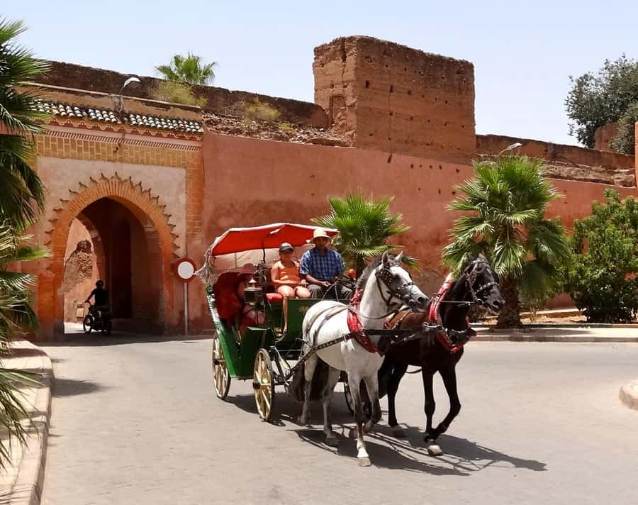 Marrakech: Half-Day Medina Markets Tour - Shop-smart in the Medina: enjoy crafts without losing your patience