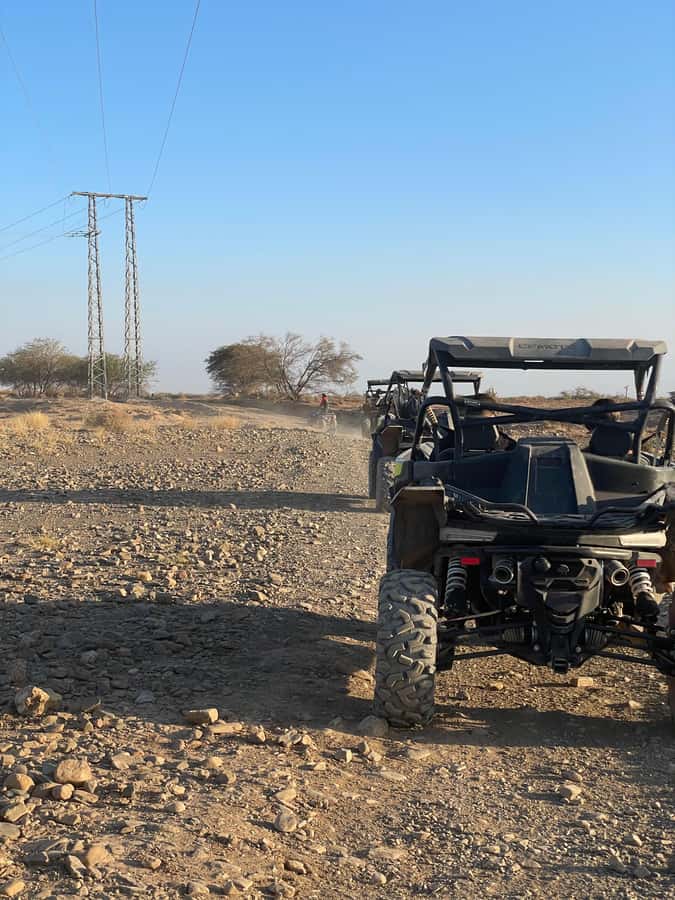 Marrakech: Half-day private tour in a 1000cc buggy in the Agafay Desert - Guides and the VIP Feel: Language + Timing