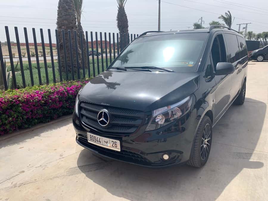 Marrakech: half-day Private van with driver at your service - Price and Logistics: What $114 Buys Your Group