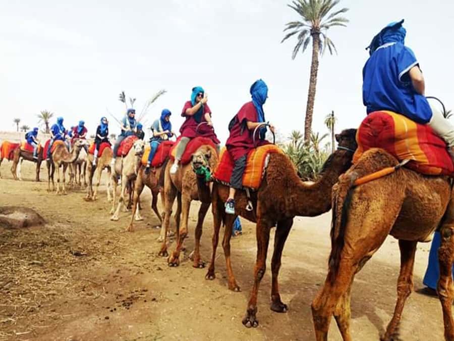 Marrakech: Half-Day Tour with Buggy Ride, Camel Ride and Spa - Key things to know before you go