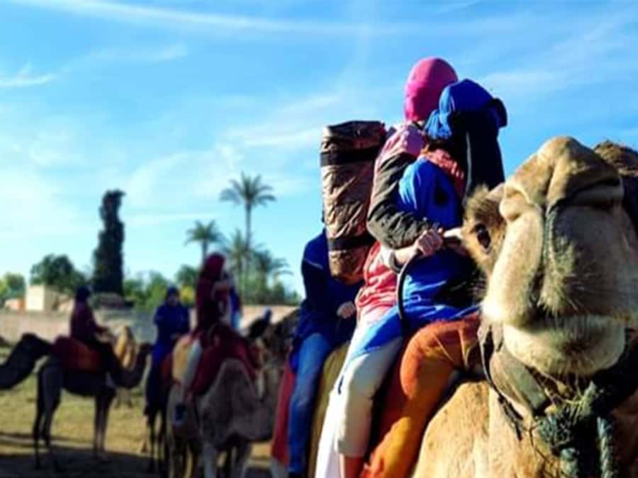 Marrakech: Half-Day Tour with Buggy Ride, Camel Ride and Spa - Dune Buggy Ride: Time to Actually Feel the Fun
