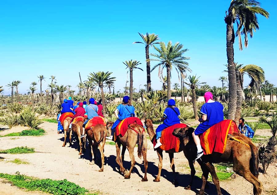 Marrakech: Half-Day Tour with Buggy Ride, Camel Ride and Spa - Price and Value: Is $146 Worth It?