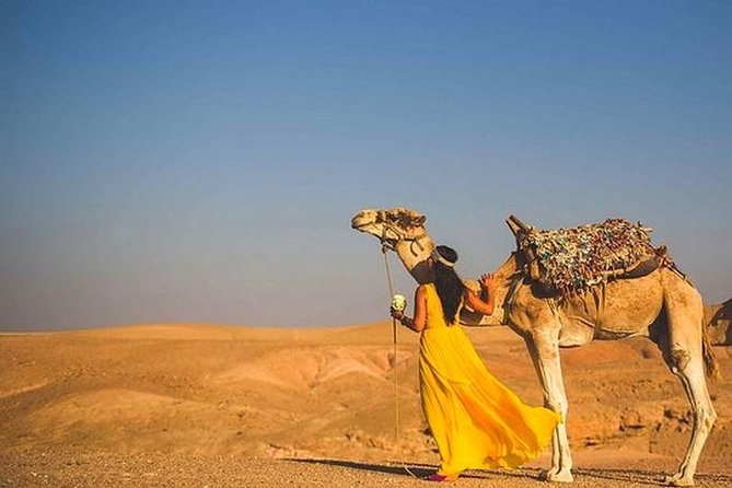 Marrakech High Atlas mountains 3 Valleys waterfalls & Camel Ride - Key reasons this tour scores high