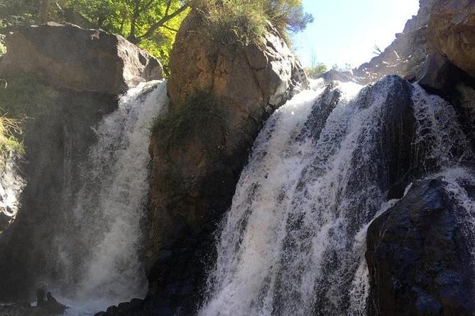 Marrakech High Atlas mountains 3 Valleys waterfalls & Camel Ride - Argan Women’s Cooperative: Why This Stop Matters