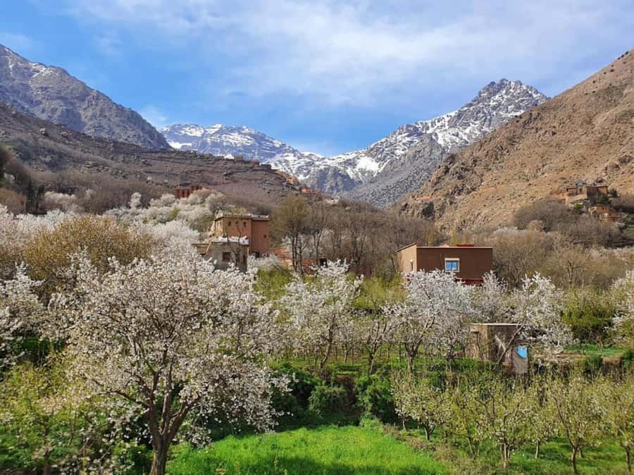 Marrakech: High Atlas Mountains Talamrout Peak Day Trek - From Marrakech to Imlil: an easy start that matters