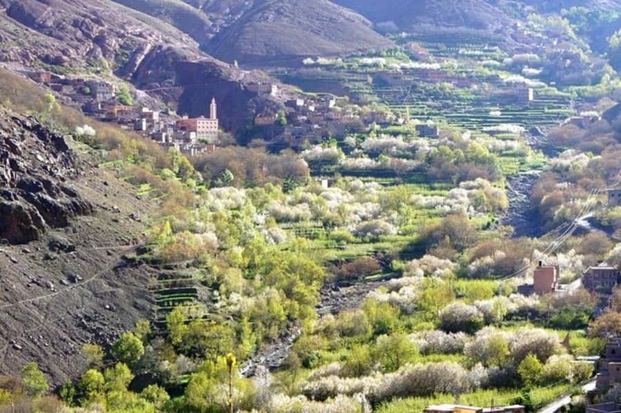 Marrakech: High Atlas Mountains Talamrout Peak Day Trek - Walnut groves and Berber terraces: the first big scenery shift