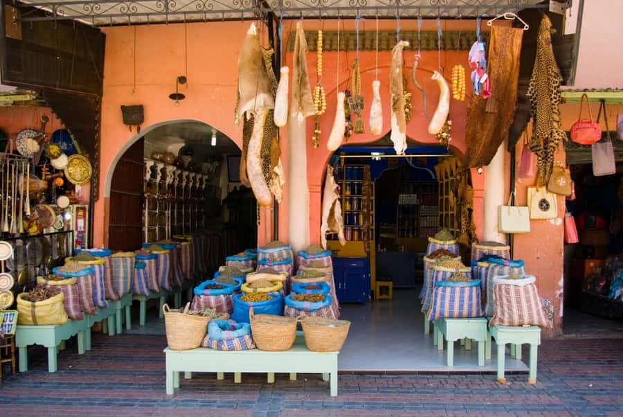 Marrakech: Historical Discovery Tour - Who this tour suits best