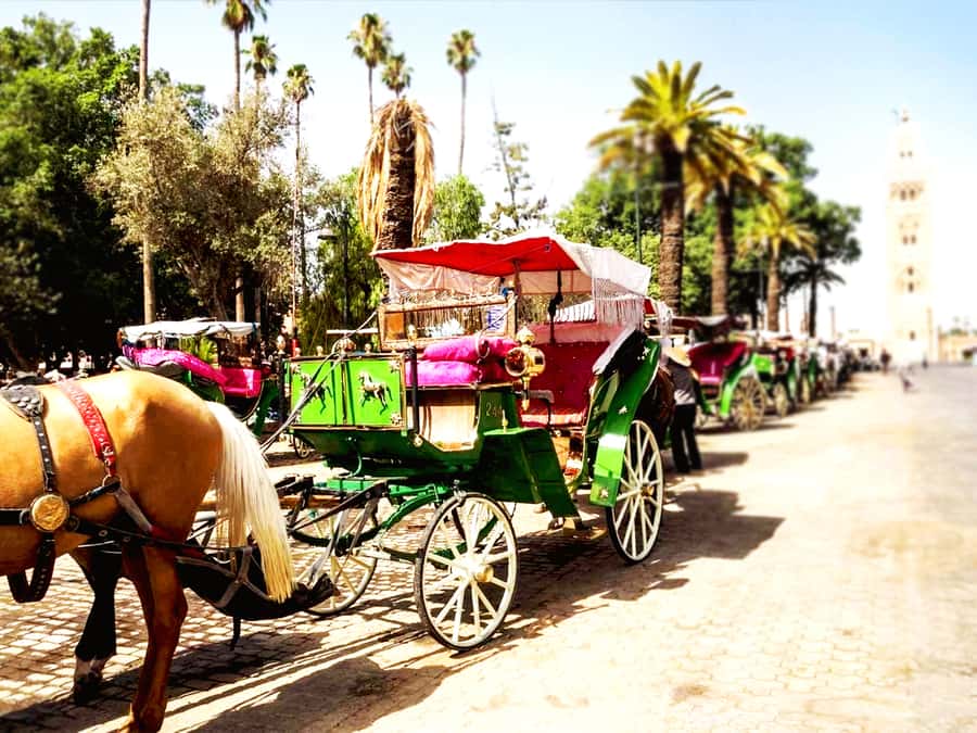 Marrakech: Horse-Drawn Carriage Tour - Quick highlights