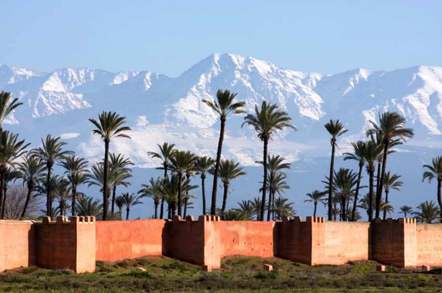 Marrakech: Horse-Drawn Carriage Tour - Hivernage: modern Marrakech lights after the old city