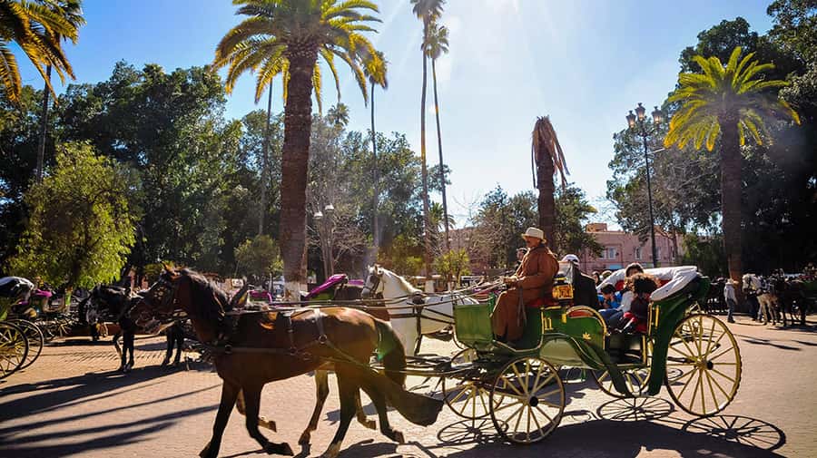 Marrakech: Horse-Drawn Carriage Tour - Koutoubia Mosque at sunset: what to watch for