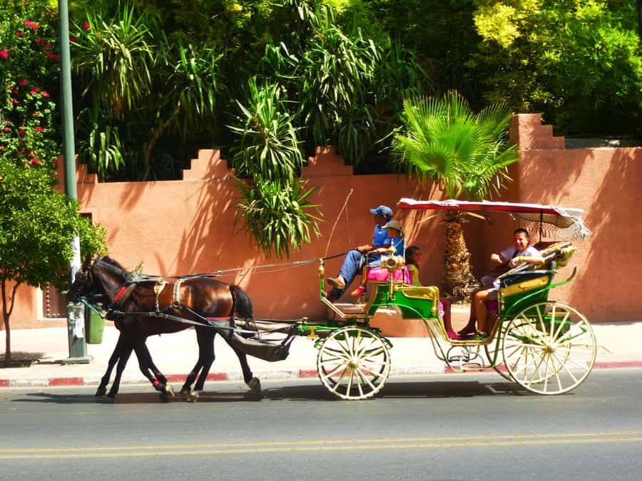 Marrakech: Horse-Drawn Carriage Tour - Pickup to first sights: the pre-ride rhythm