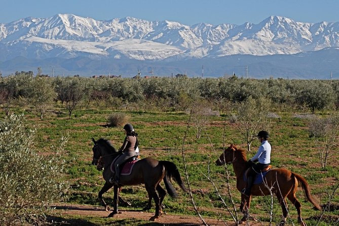 Marrakech Horse Riding - Key Things I’d Pay Attention To