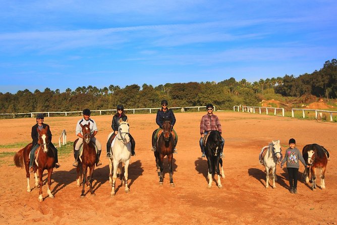 Marrakech Horse Riding - A Morning Reset Away From Marrakech Noise