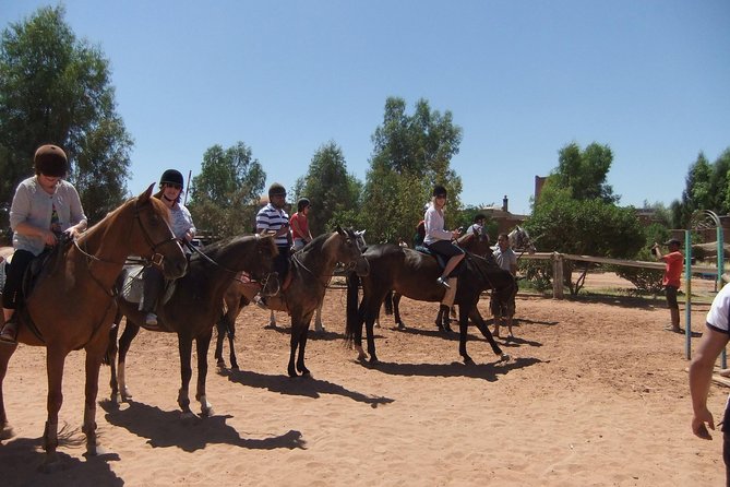 Marrakech Horse Riding - Price and Value: Does $46.98 Make Sense for 2 Hours?
