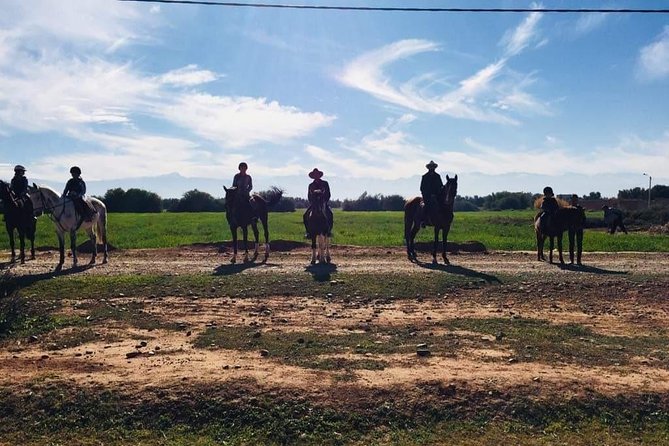 Marrakech Horse Riding - Who This Marrakech Horse Ride Fits Best