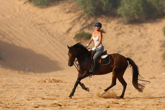 Marrakech Horse Riding - How the Team Matches Your Horse and Chooses the Route