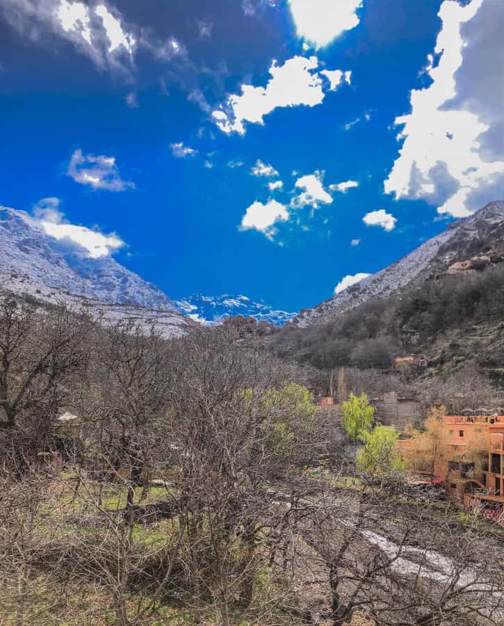 Marrakech: Imlil Atlas Mountains Day Trip with Lunch - The Guided Hike: 2–3 Hours, Your Pace, and Those Steps