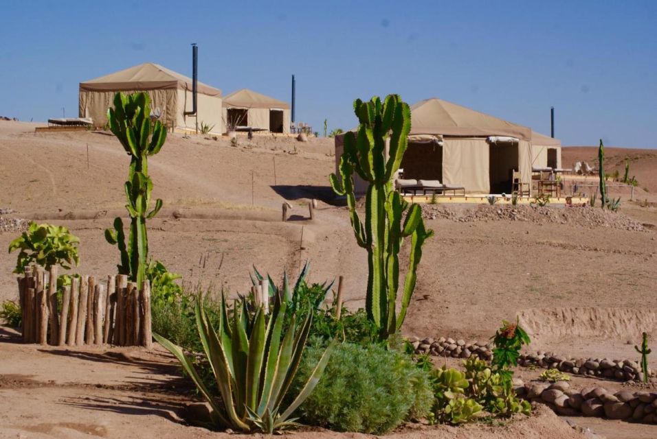 Marrakech: Magical Lunch in Agafay Desert with Swimming pool - Who This Works For (and Who Should Skip It)