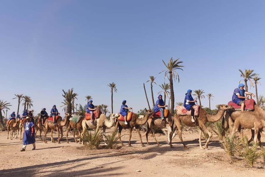 Marrakech: Majorel Garden, Camel ride in Palmerai, City trip - Palmeraie camel ride with tea: the pace you’ll actually remember