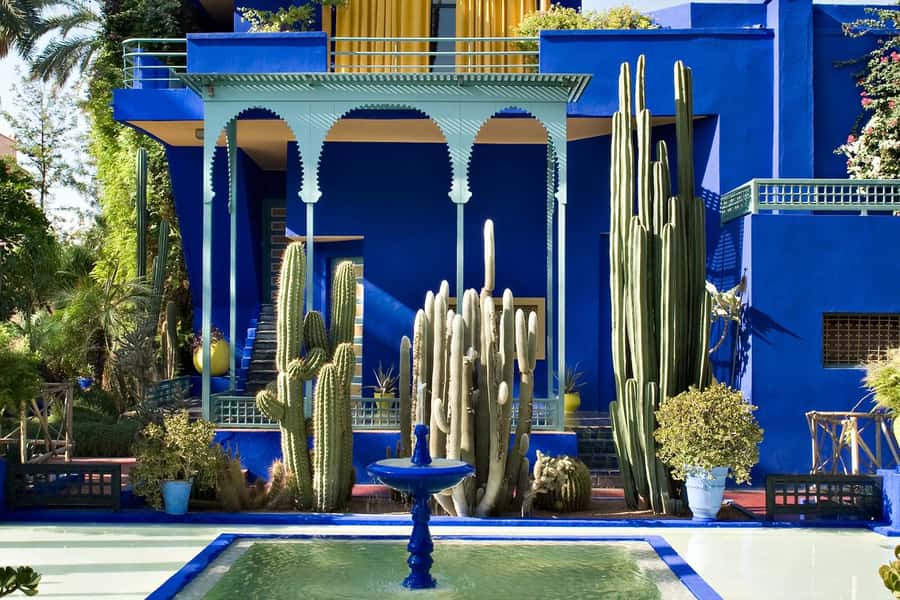 Marrakech: Majorel Garden, Camel ride in Palmerai, City trip - Berber Museum ticket: culture inside the same stop