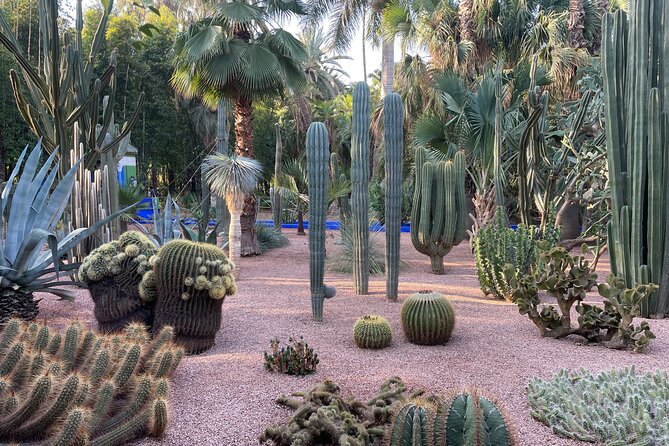 Marrakech Majorel garden entry ticket - Your Timed Visit Plan: How the 1 to 3 Hours Usually Flows