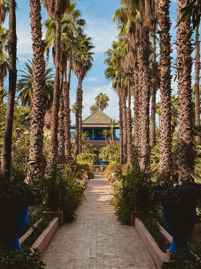 Marrakech: Majorelle Garden, Museums Tickets, & Audio Guide - Jardin Majorelle in Marrakech: Majorelle Blue, paths, and photo-ready calm