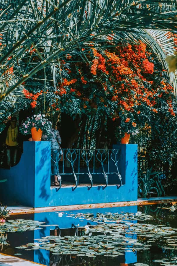 Marrakech: Majorelle Garden, Museums Tickets, & Audio Guide - Price and value: does $68 per person make sense?
