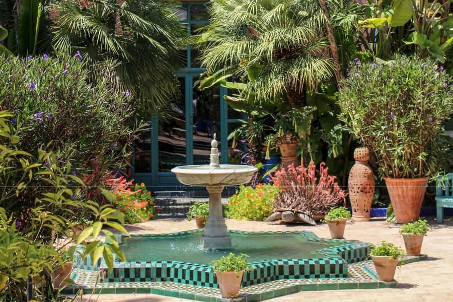 Marrakech: Majorelle Garden, YSL, and Berber Museum Entry - Who should book this combo ticket